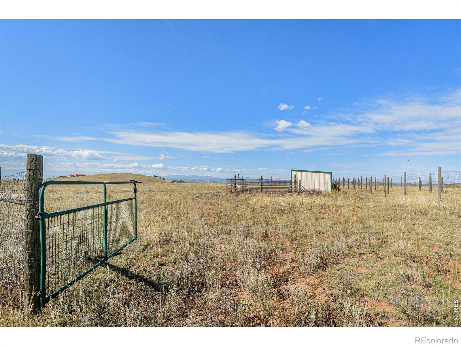 2052 Great Twins Road Livermore CO 80536
