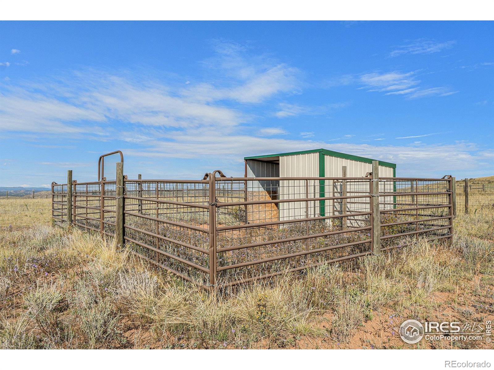 2052 Great Twins Road Livermore CO 80536