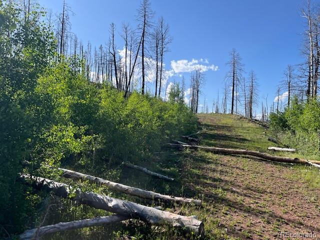 Lot 835 Slaoui Place Fort Garland CO 81133