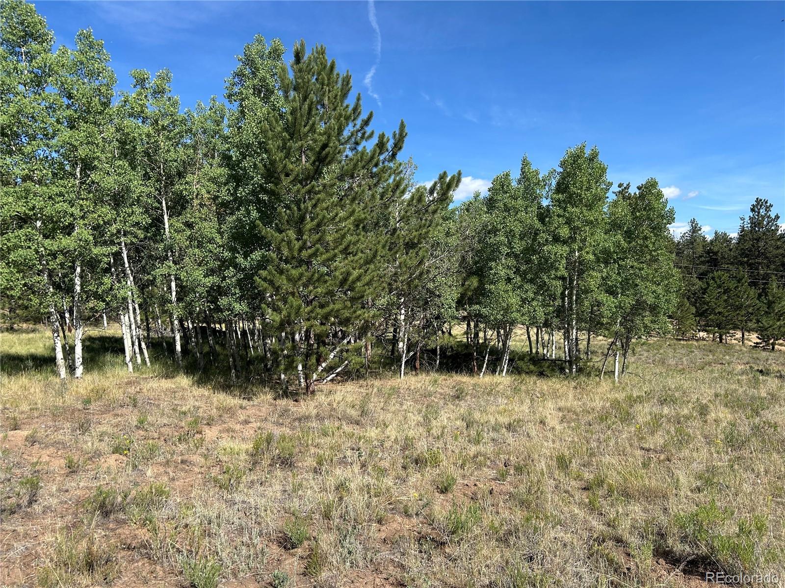 519 Hayhook Way Hartsel CO 80449