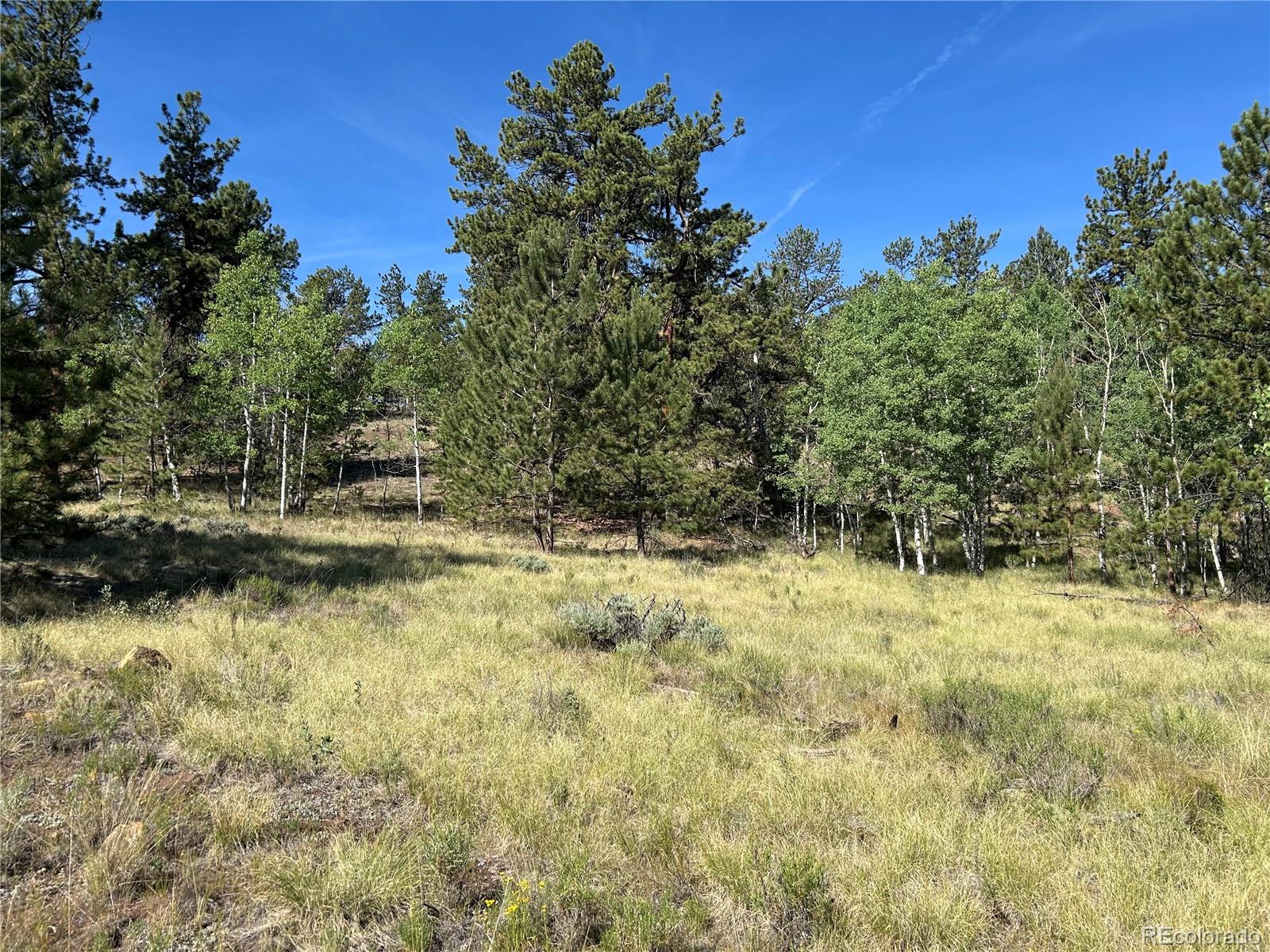 519 Hayhook Way Hartsel CO 80449