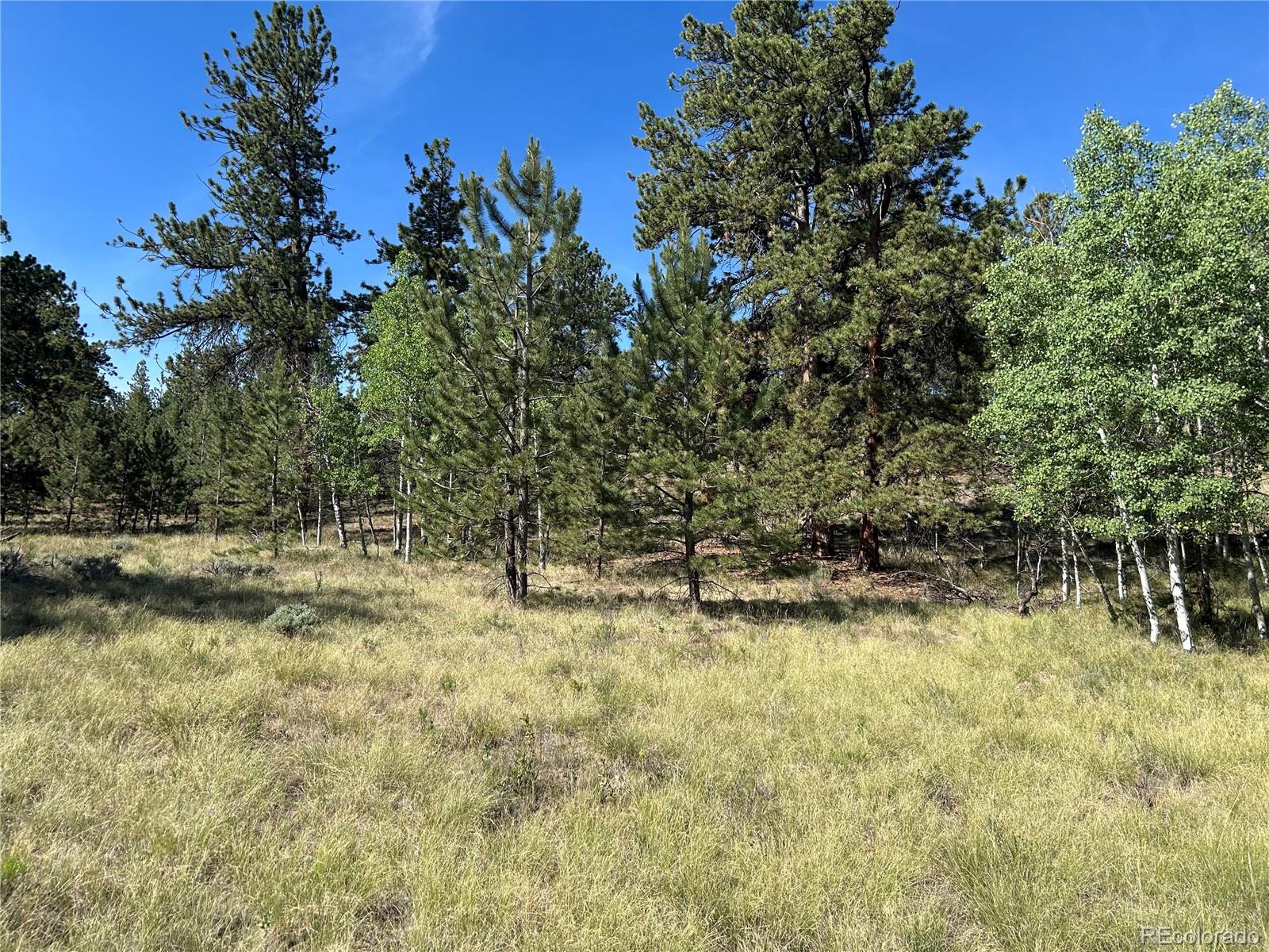 519 Hayhook Way Hartsel CO 80449