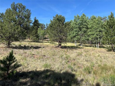 519 Hayhook Way Hartsel CO 80449