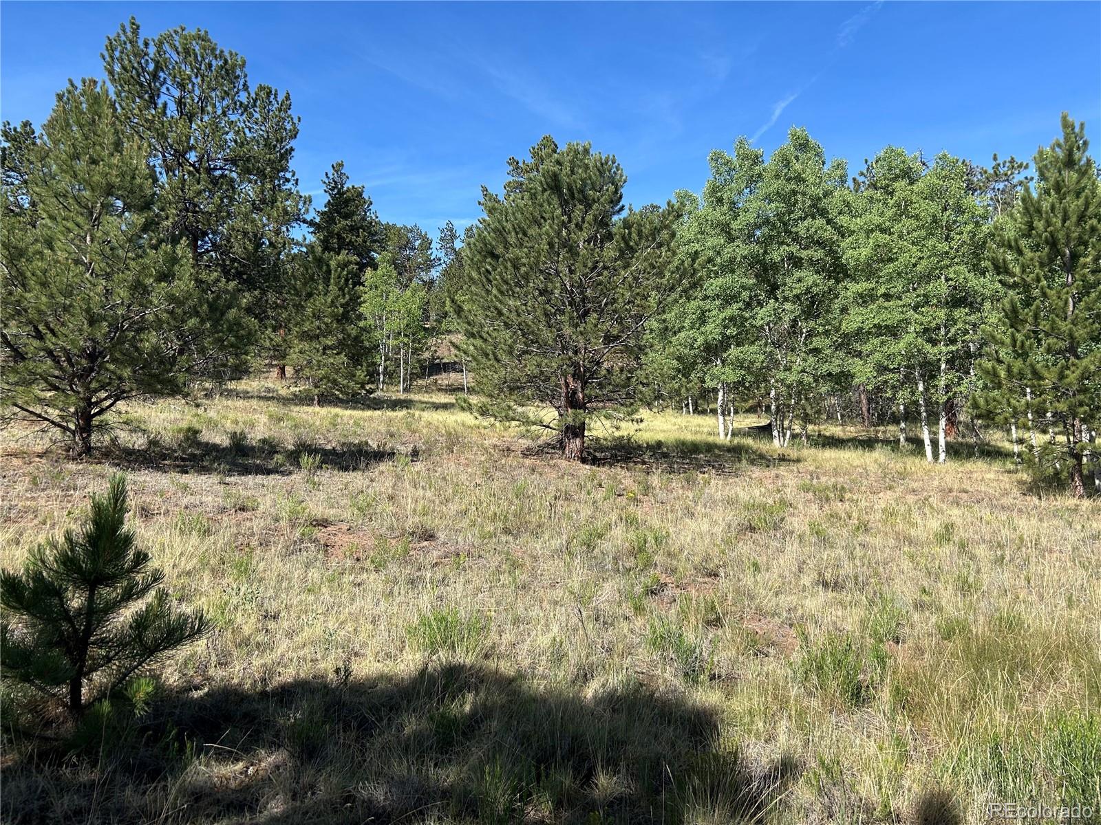 519 Hayhook Way Hartsel CO 80449