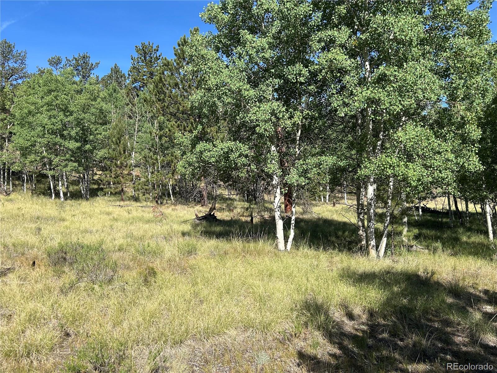 519 Hayhook Way Hartsel CO 80449