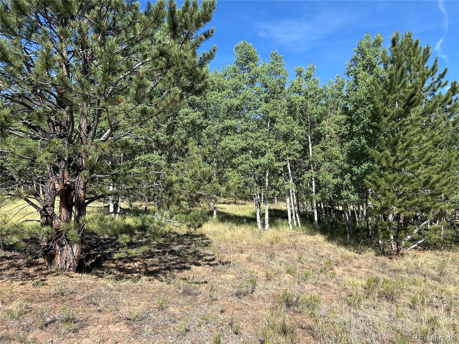 519 Hayhook Way Hartsel CO 80449