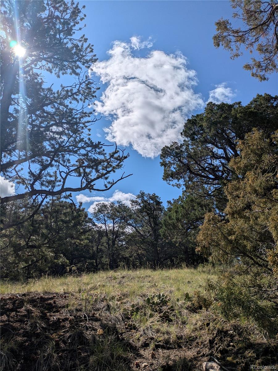 1813 Rockyview Way Crestone CO 81131