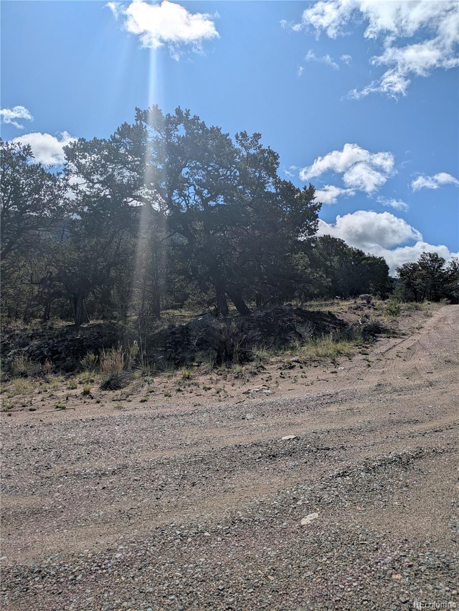 1813 Rockyview Way Crestone CO 81131