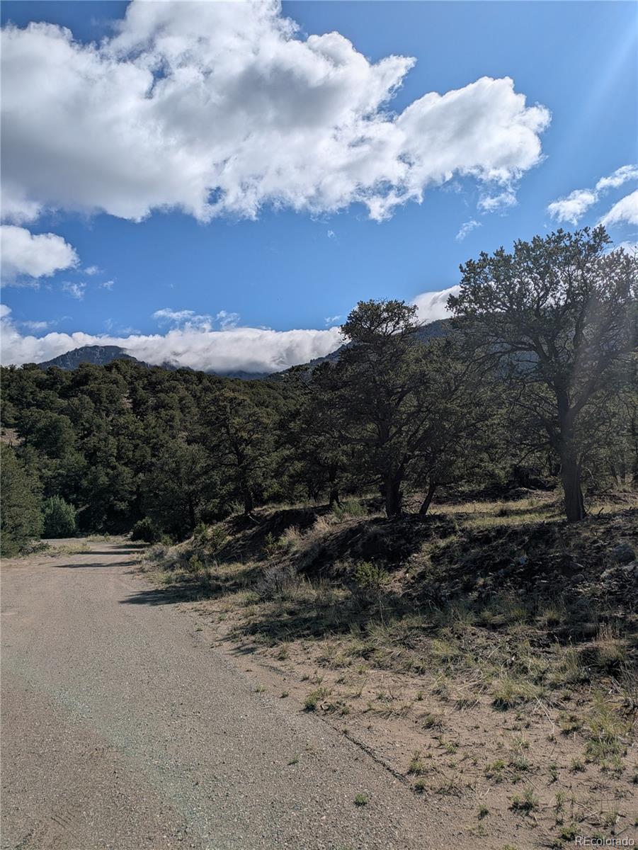 1813 Rockyview Way Crestone CO 81131