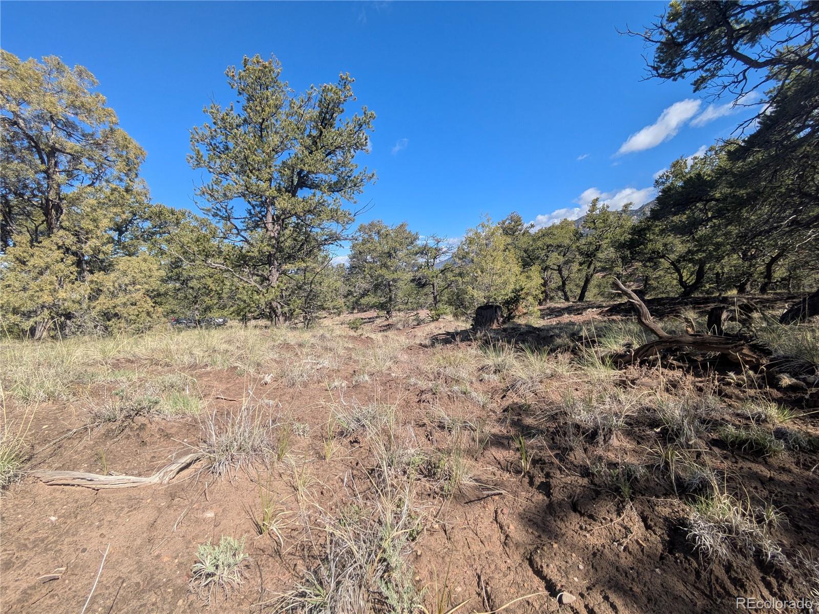 1813 Rockyview Way Crestone CO 81131