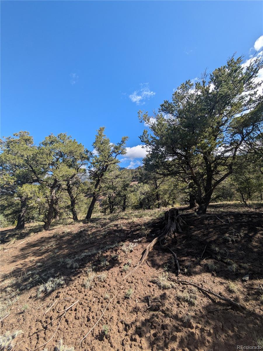 1813 Rockyview Way Crestone CO 81131
