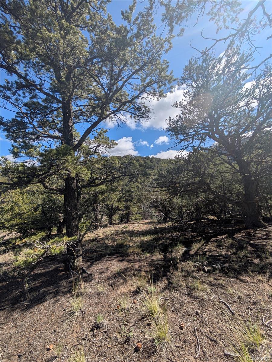 1813 Rockyview Way Crestone CO 81131