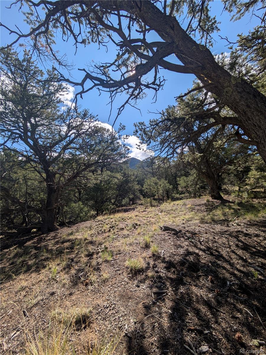 1813 Rockyview Way Crestone CO 81131