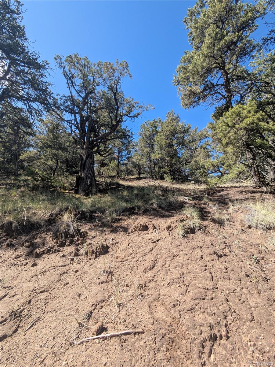 1813 Rockyview Way Crestone CO 81131