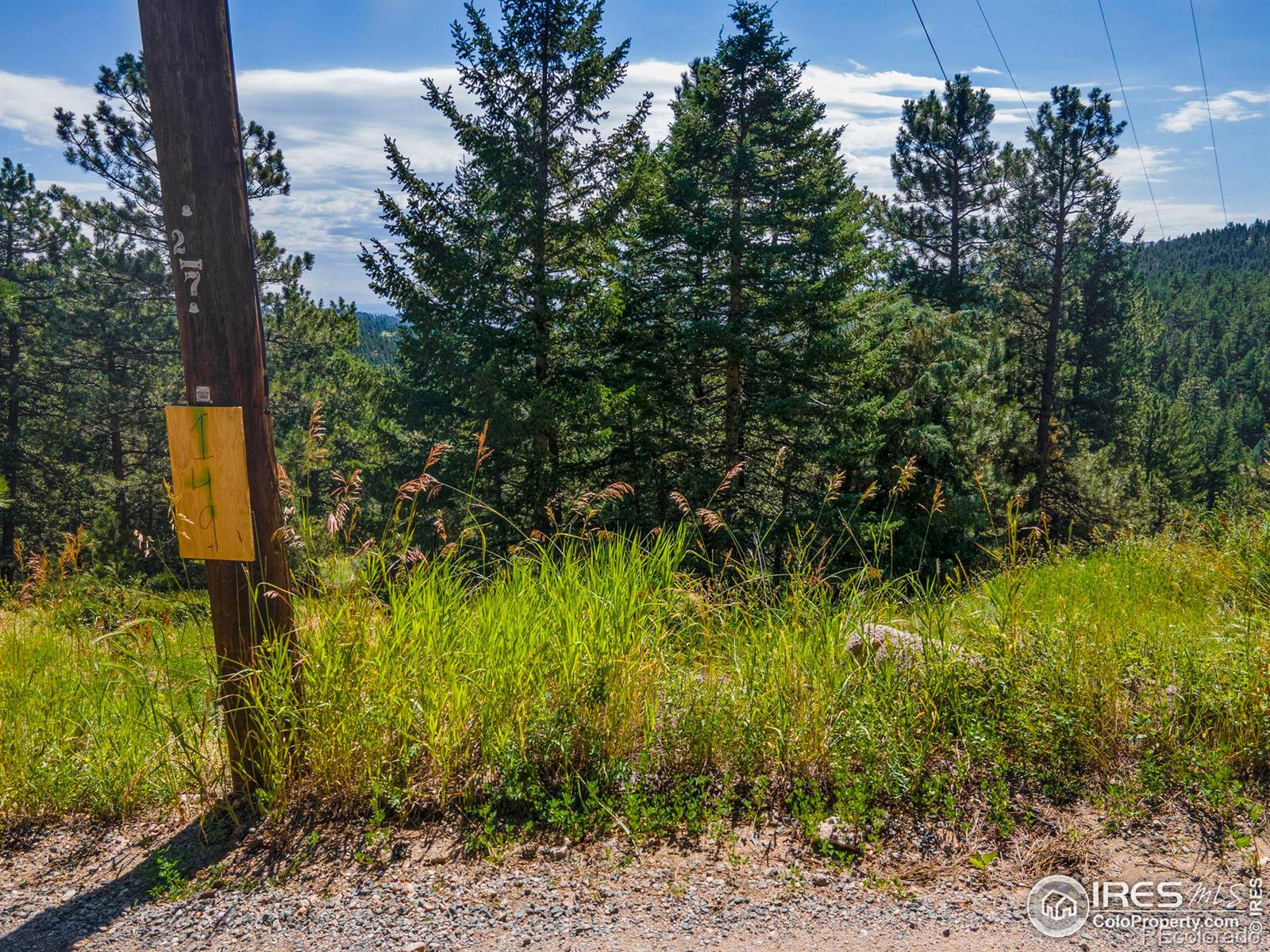 149 W Millionaire Drive W Boulder CO 80302