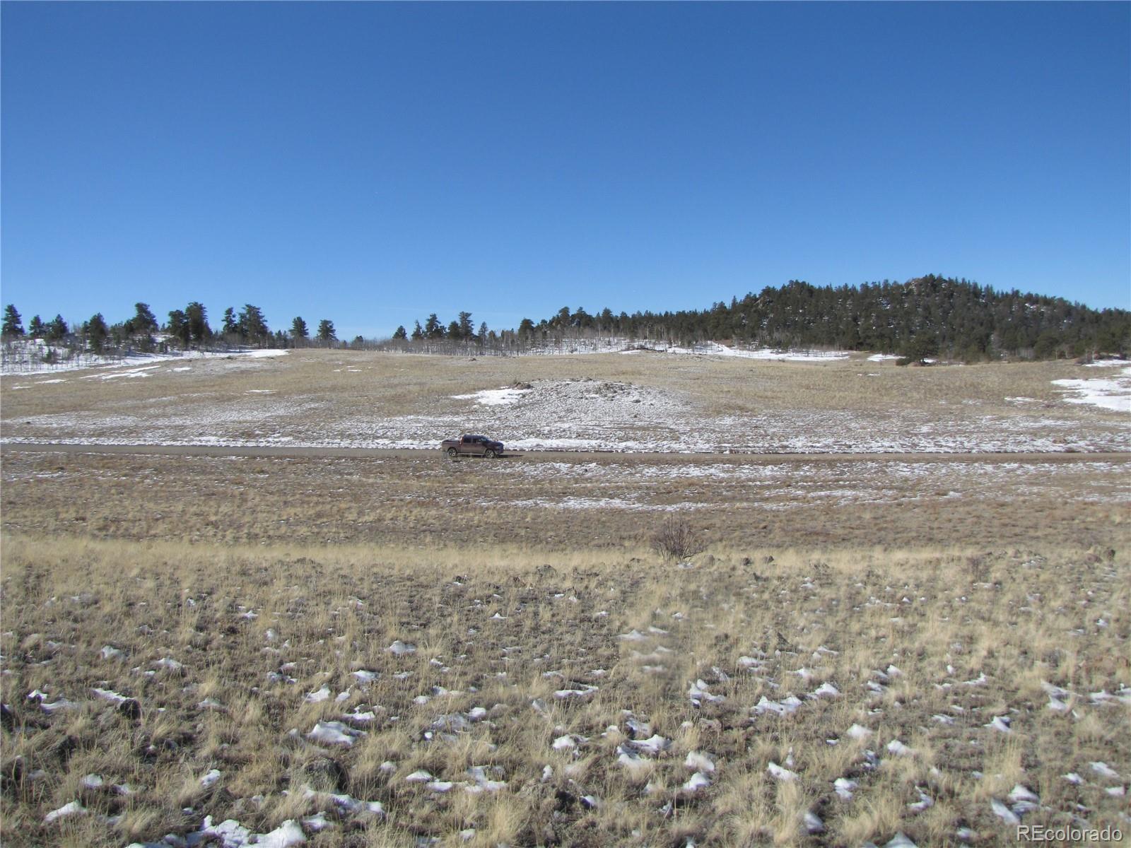 8808 County Road 53 Hartsel CO 80449