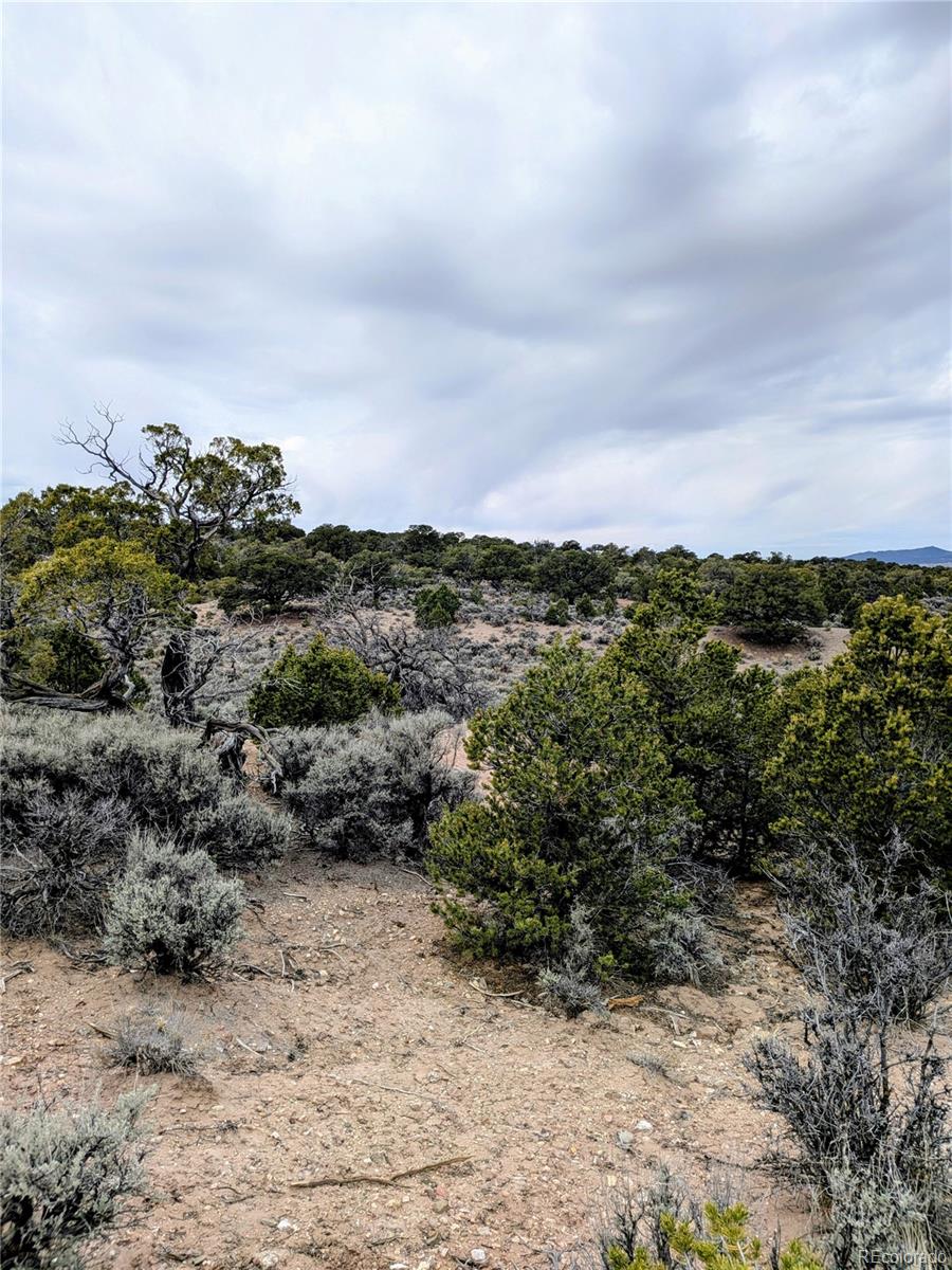 Lot 3589 Freylinghuysen Road Fort Garland CO 81133