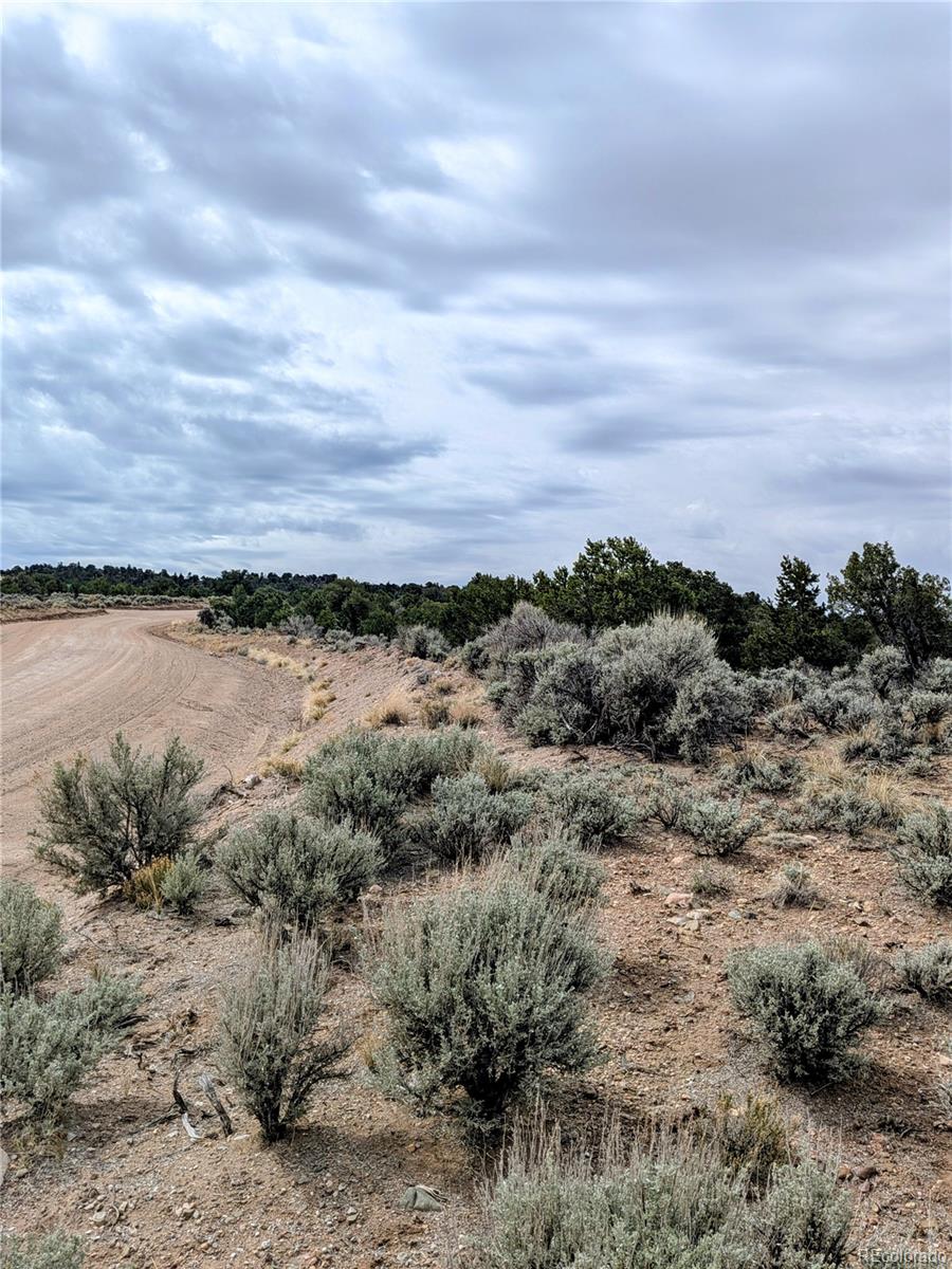 Lot 3589 Freylinghuysen Road Fort Garland CO 81133