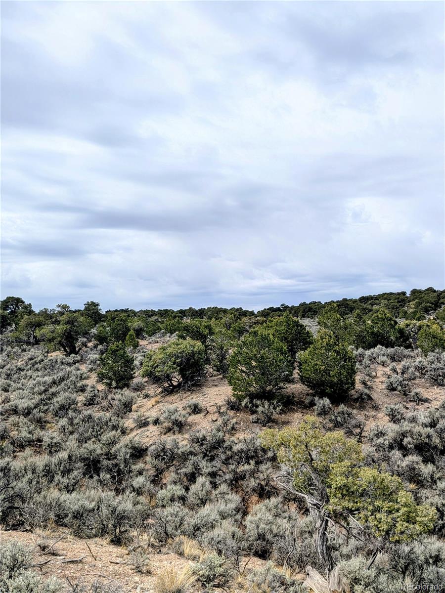 Lot 3589 Freylinghuysen Road Fort Garland CO 81133