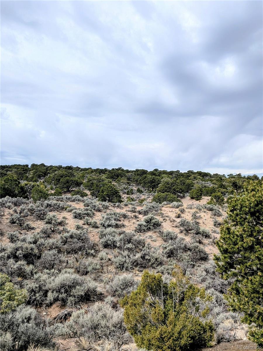 Lot 3589 Freylinghuysen Road Fort Garland CO 81133