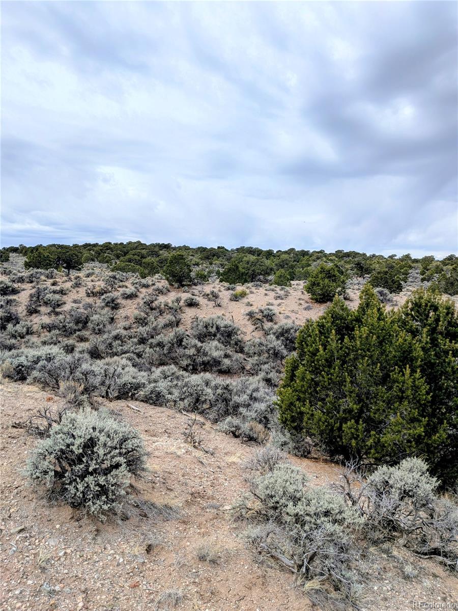 Lot 3589 Freylinghuysen Road Fort Garland CO 81133