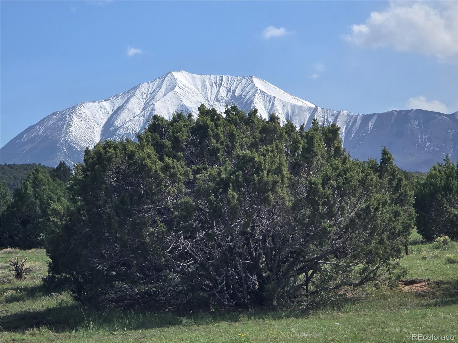 90 River Ridge Ranch Walsenburg CO 81089