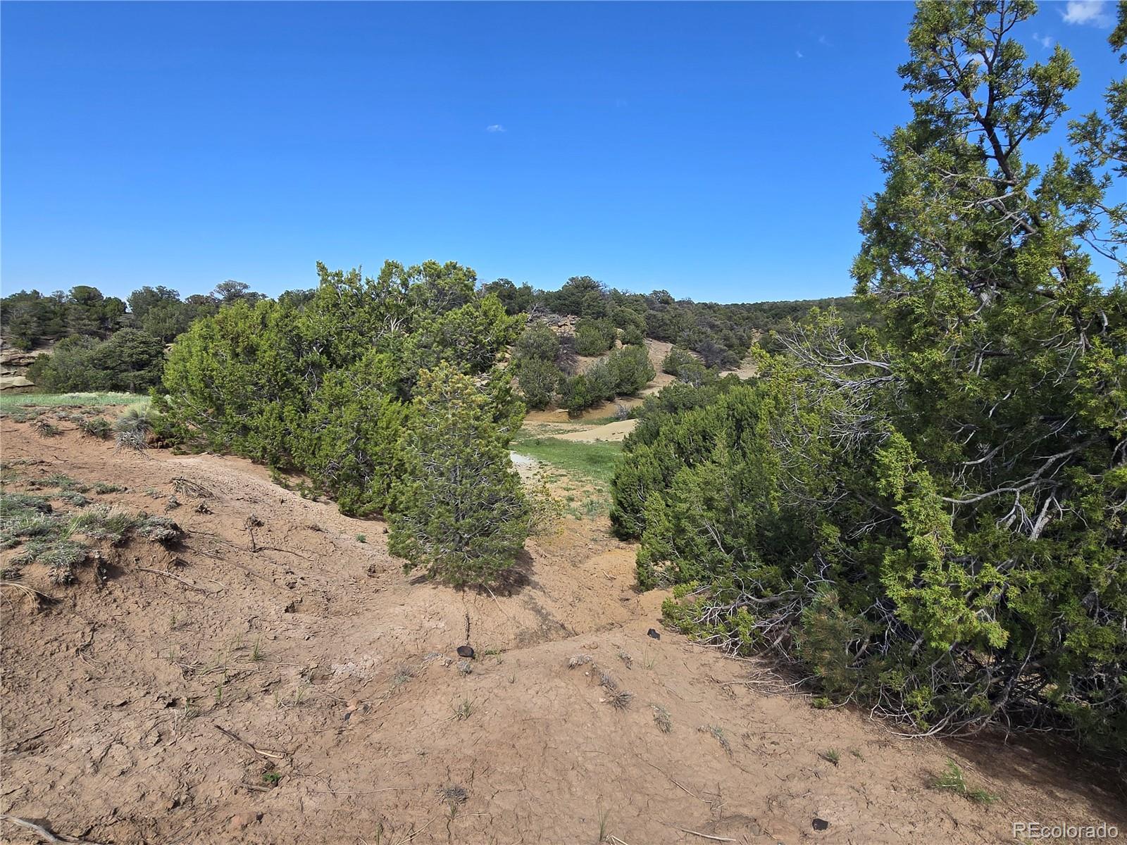 90 River Ridge Ranch Walsenburg CO 81089