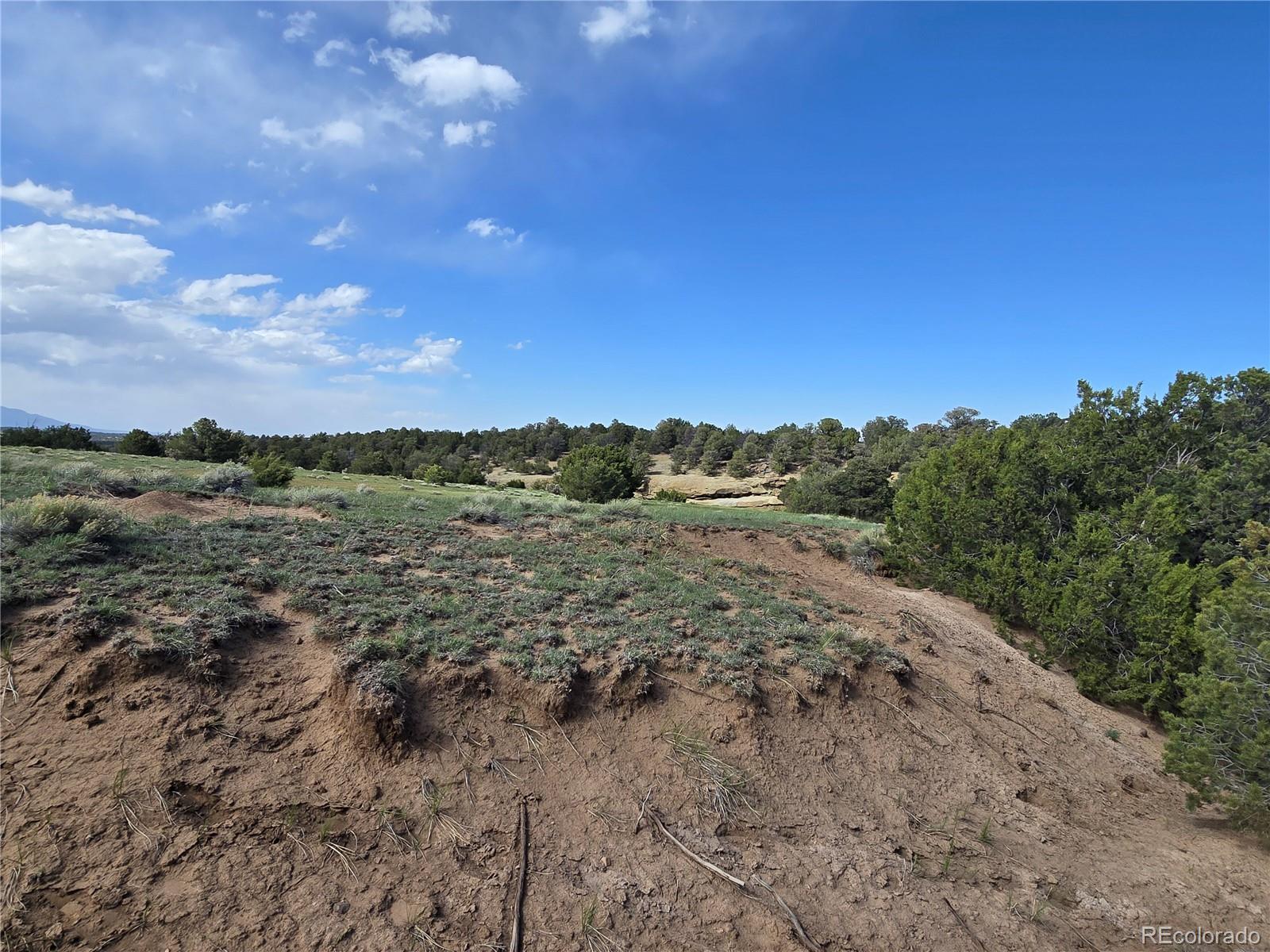 90 River Ridge Ranch Walsenburg CO 81089