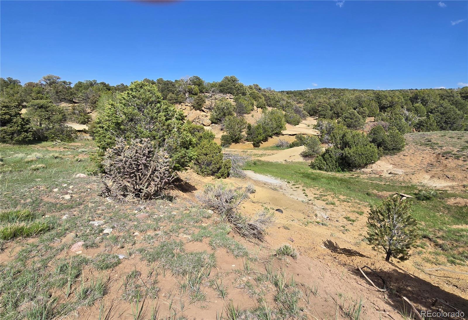 90 River Ridge Ranch Walsenburg CO 81089