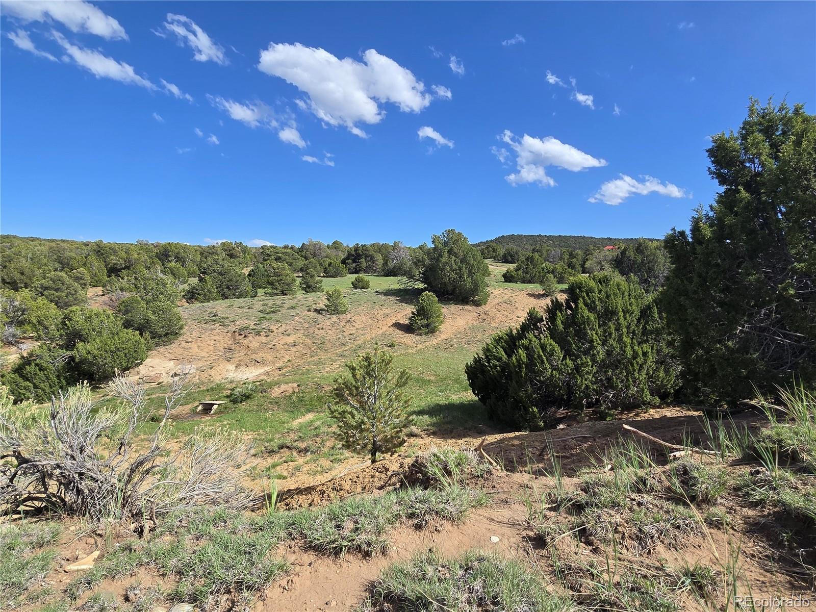 90 River Ridge Ranch Walsenburg CO 81089