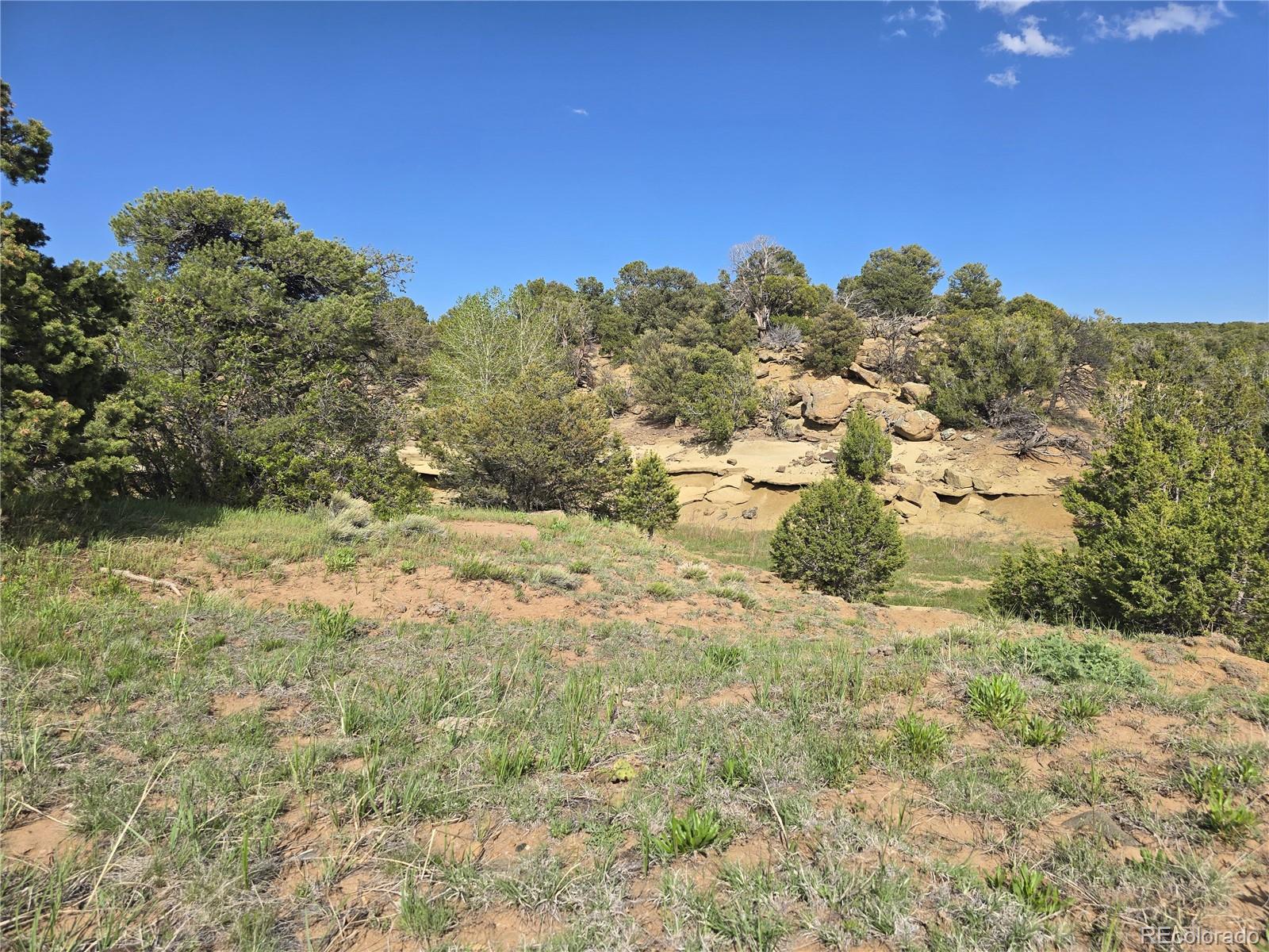 90 River Ridge Ranch Walsenburg CO 81089