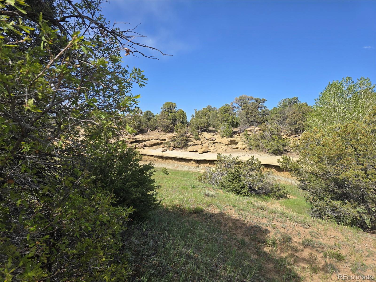 90 River Ridge Ranch Walsenburg CO 81089