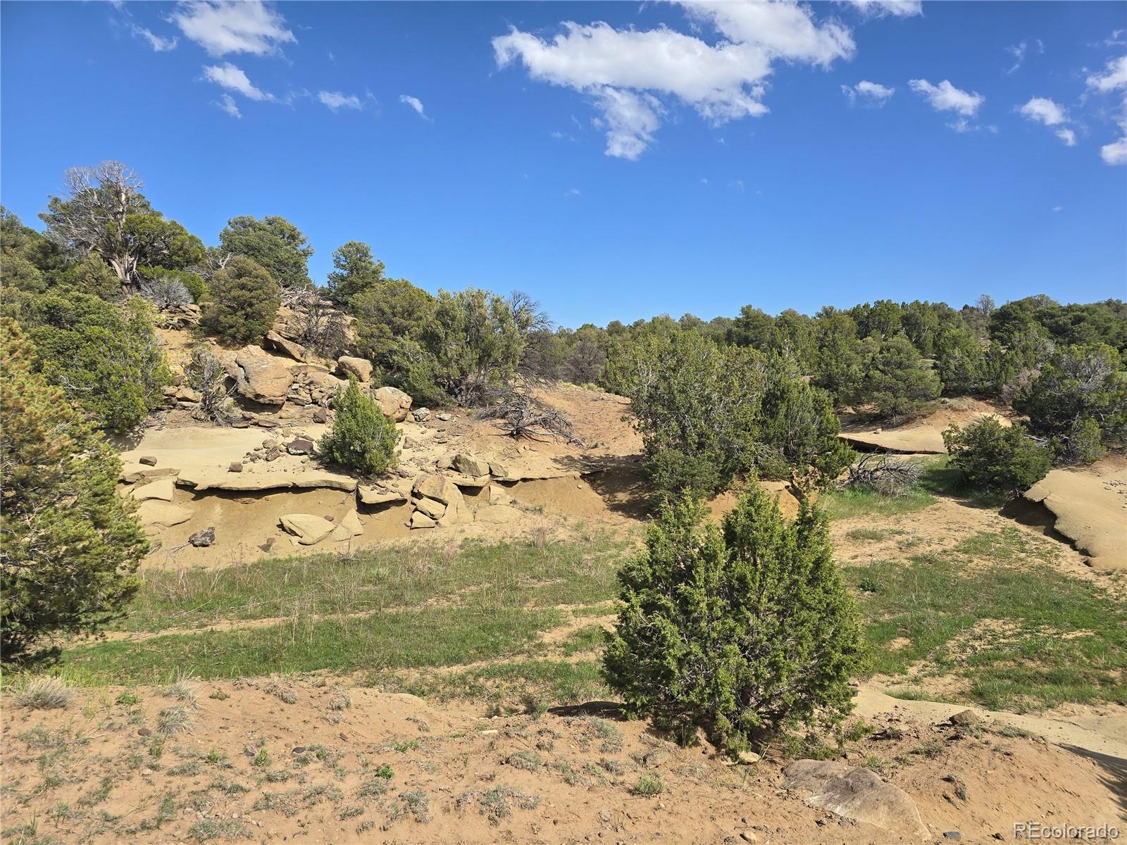 90 River Ridge Ranch Walsenburg CO 81089
