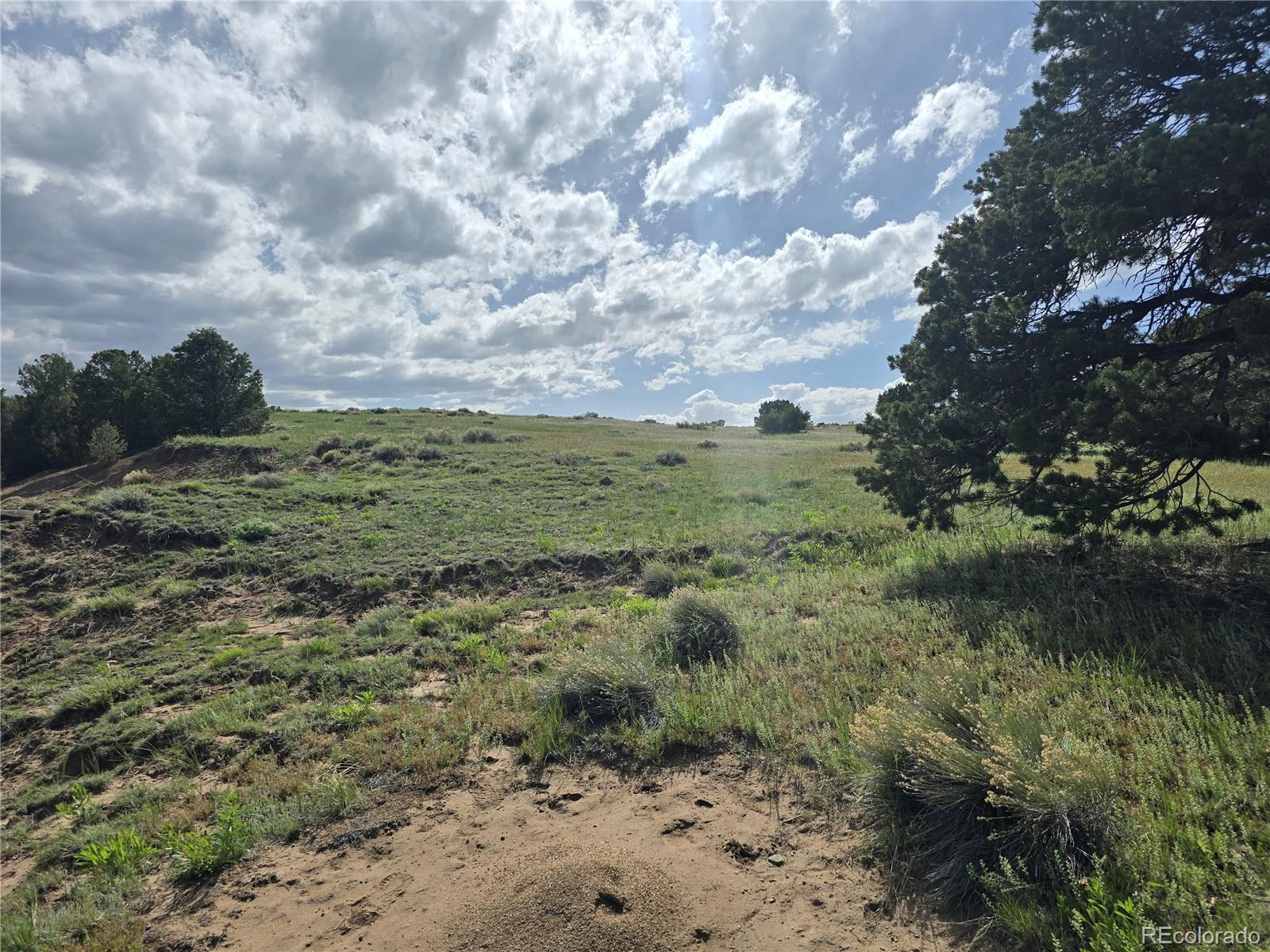 90 River Ridge Ranch Walsenburg CO 81089