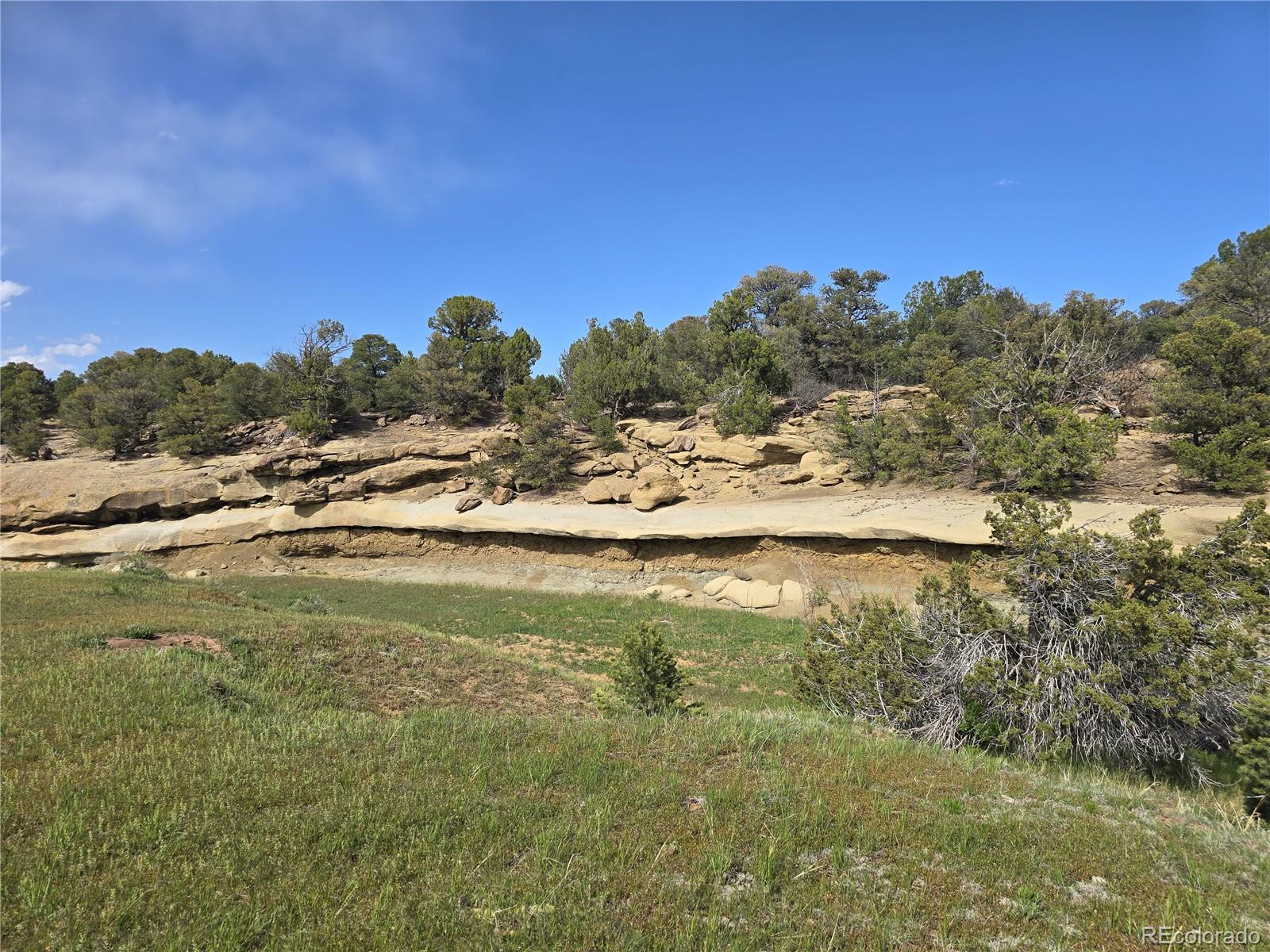 90 River Ridge Ranch Walsenburg CO 81089