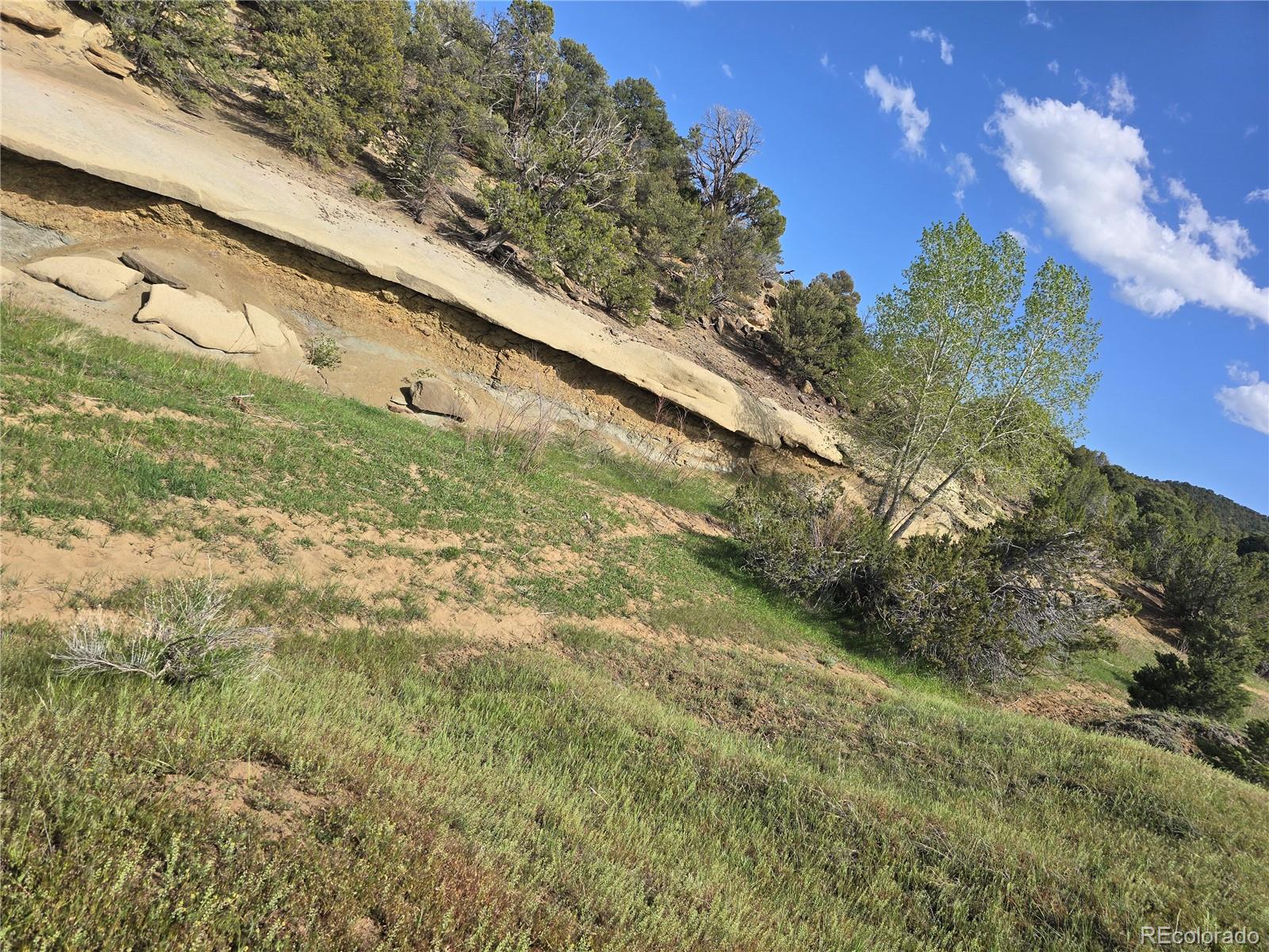 90 River Ridge Ranch Walsenburg CO 81089