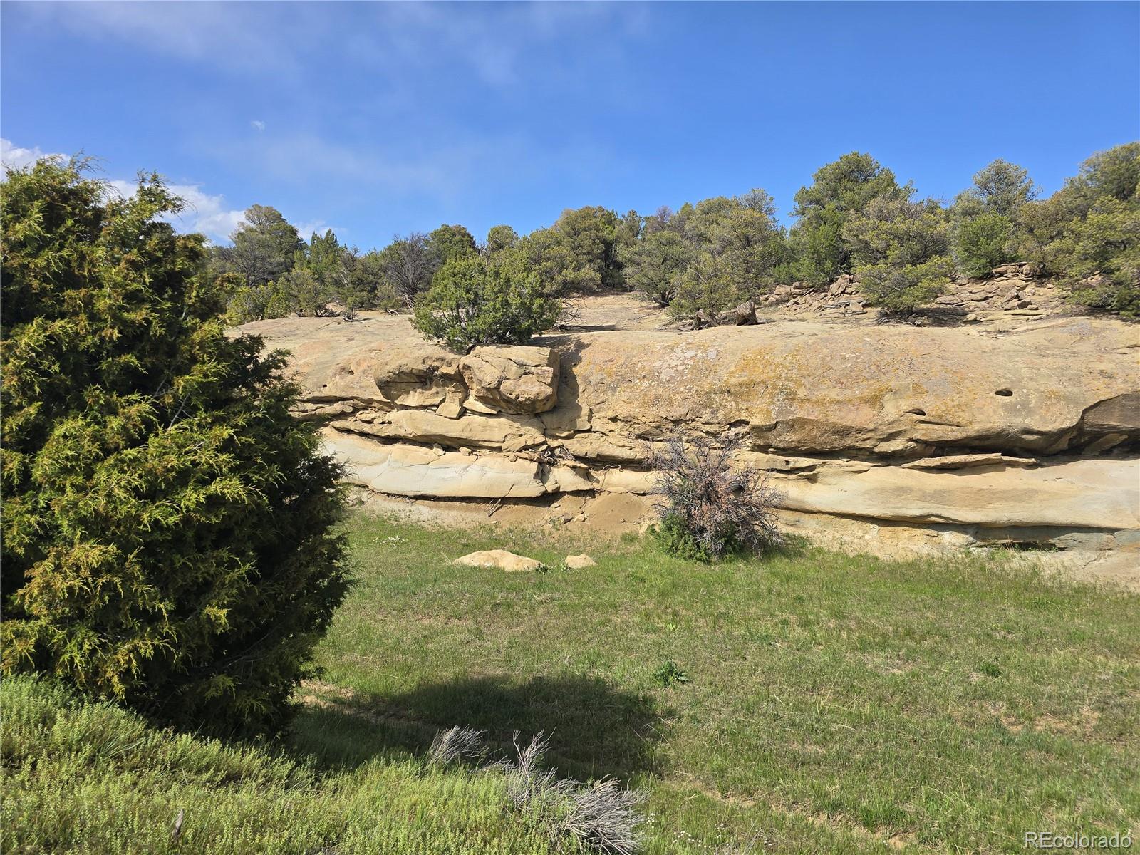 90 River Ridge Ranch Walsenburg CO 81089