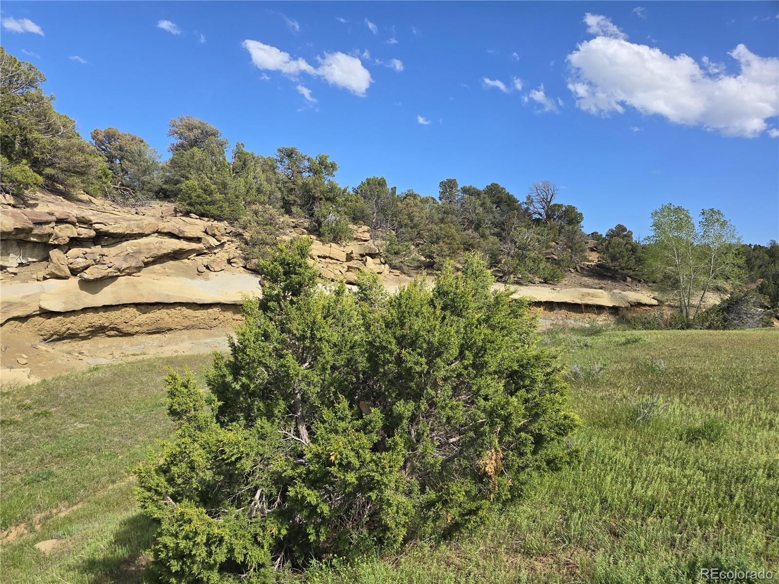 90 River Ridge Ranch Walsenburg CO 81089