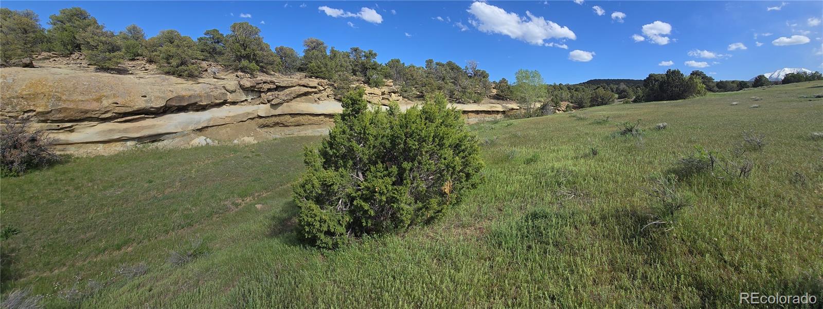 90 River Ridge Ranch Walsenburg CO 81089