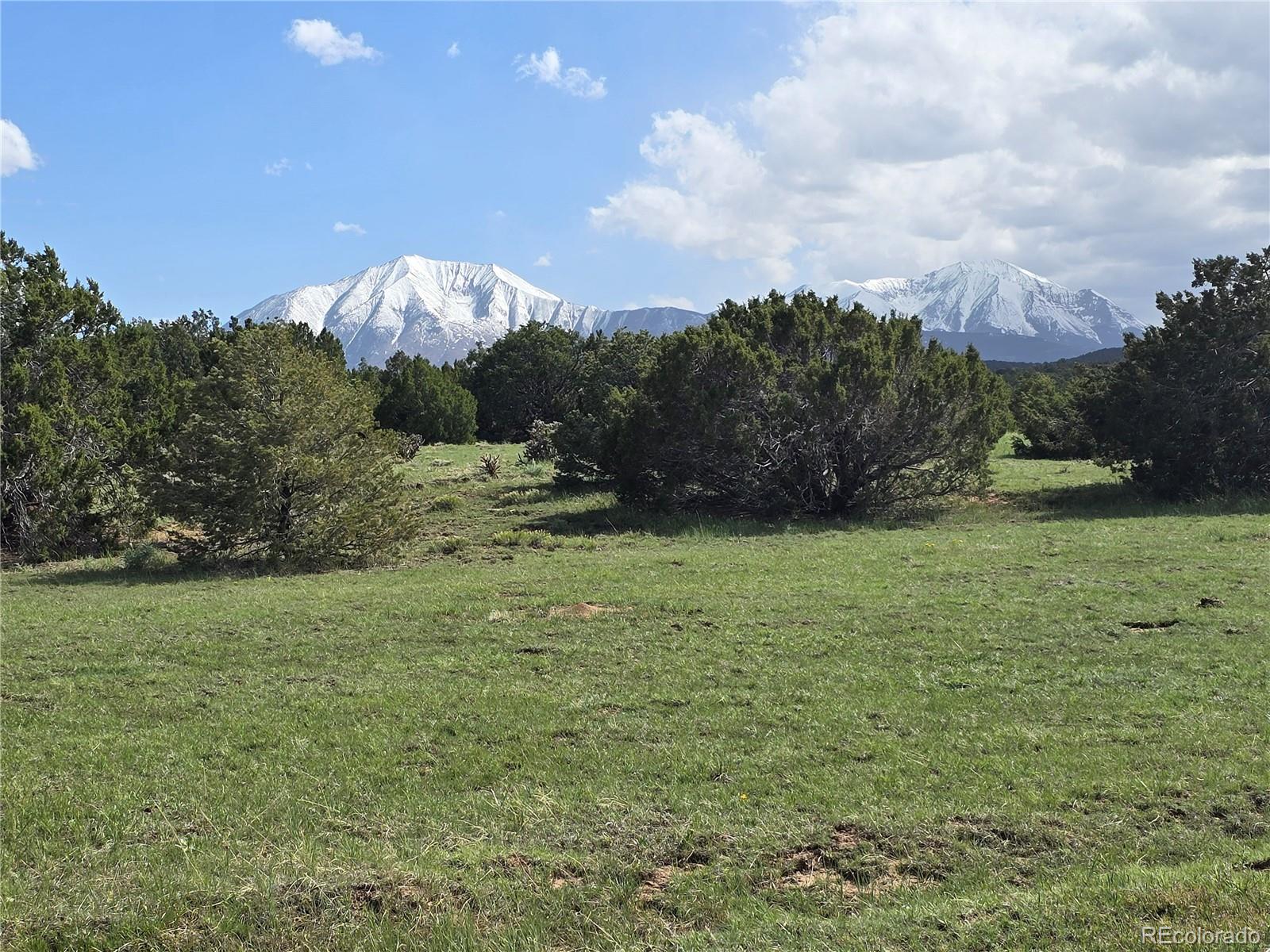 90 River Ridge Ranch Walsenburg CO 81089