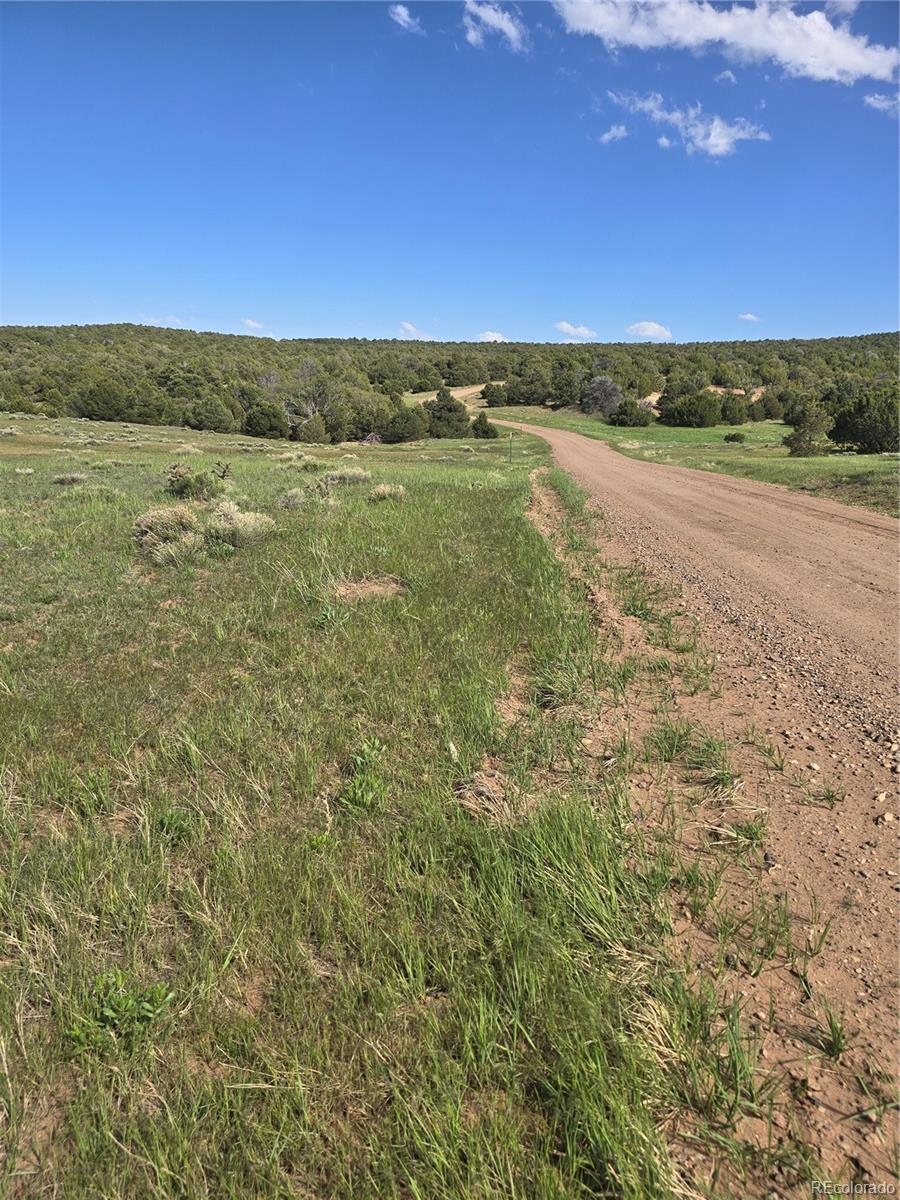 90 River Ridge Ranch Walsenburg CO 81089
