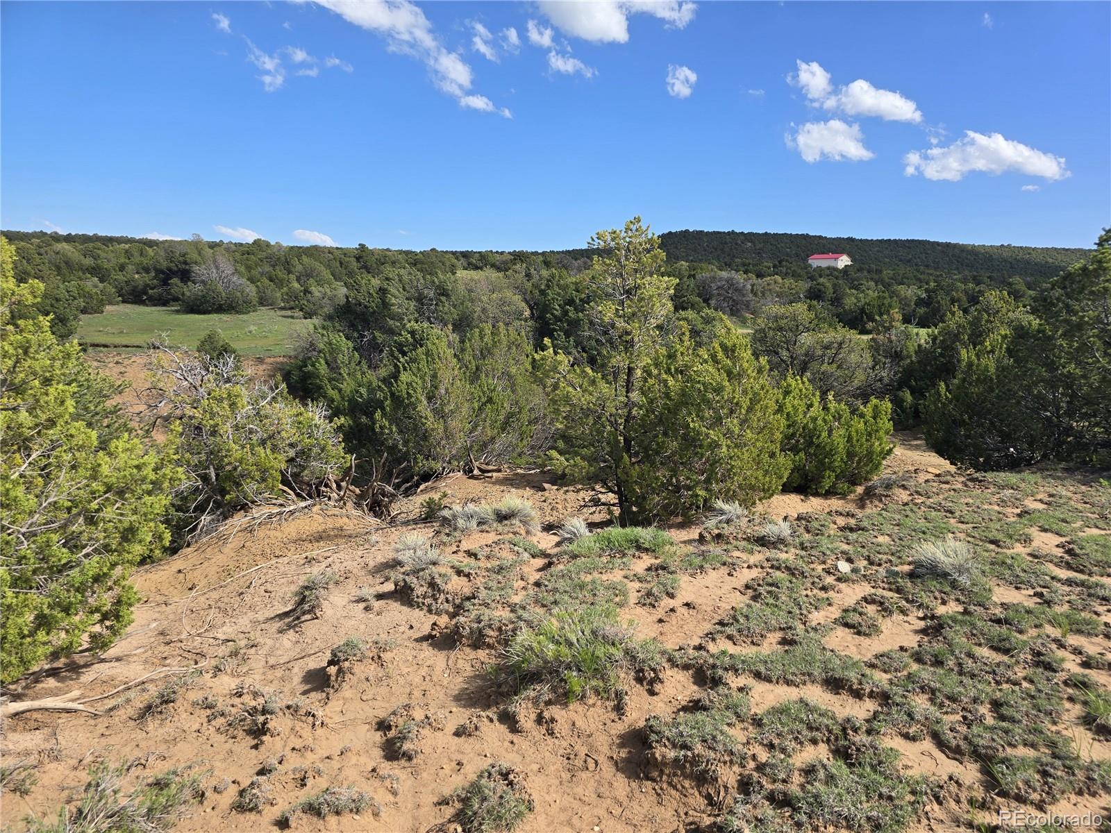90 River Ridge Ranch Walsenburg CO 81089