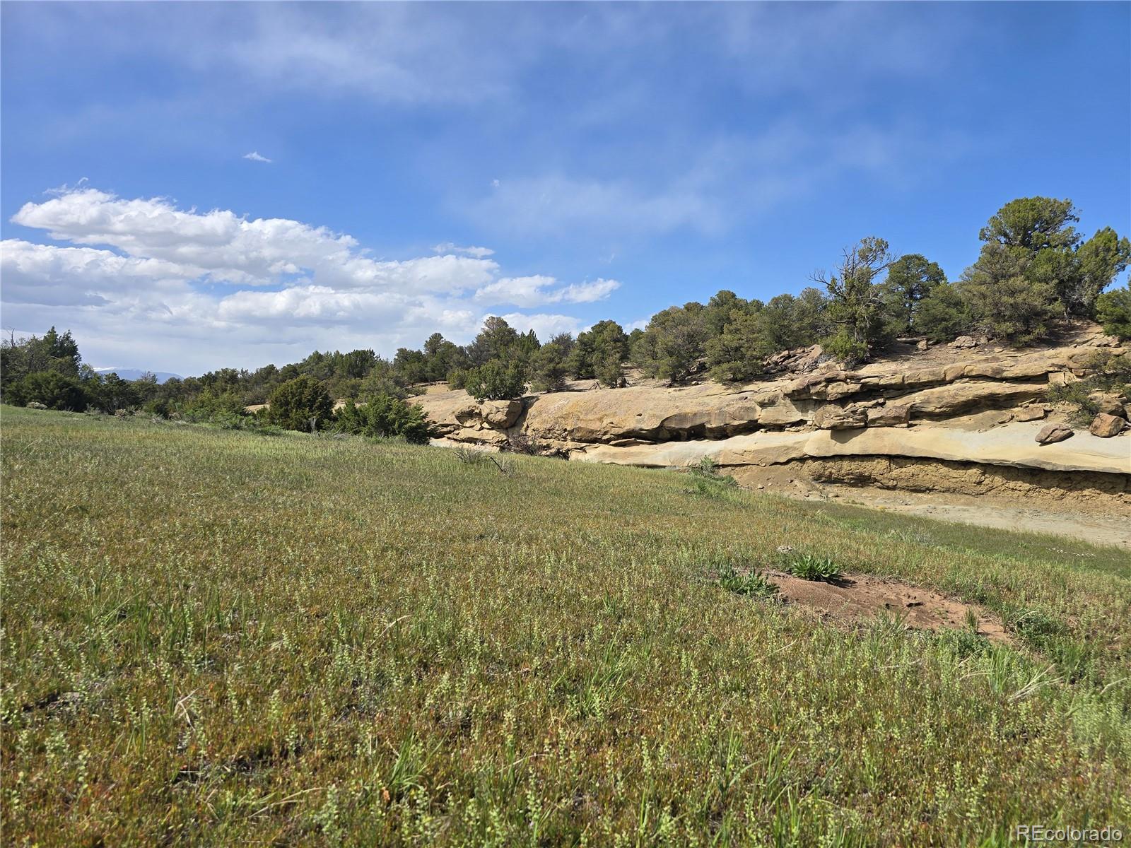 90 River Ridge Ranch Walsenburg CO 81089