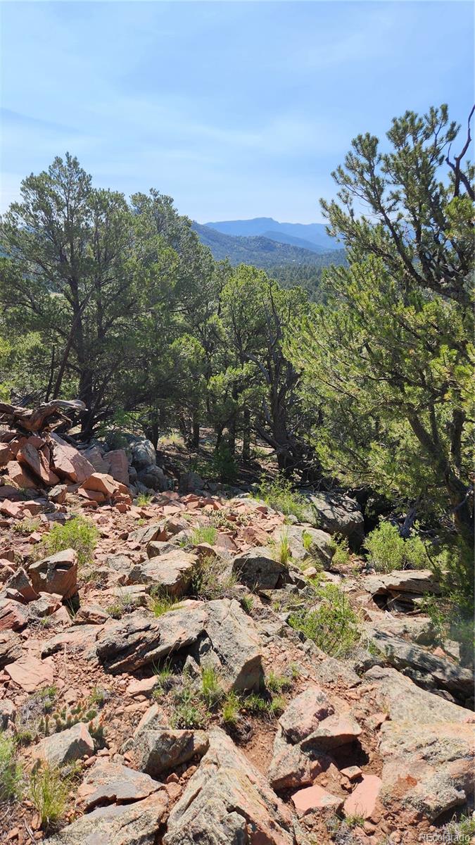 134 Knight Lane Cotopaxi CO 81223