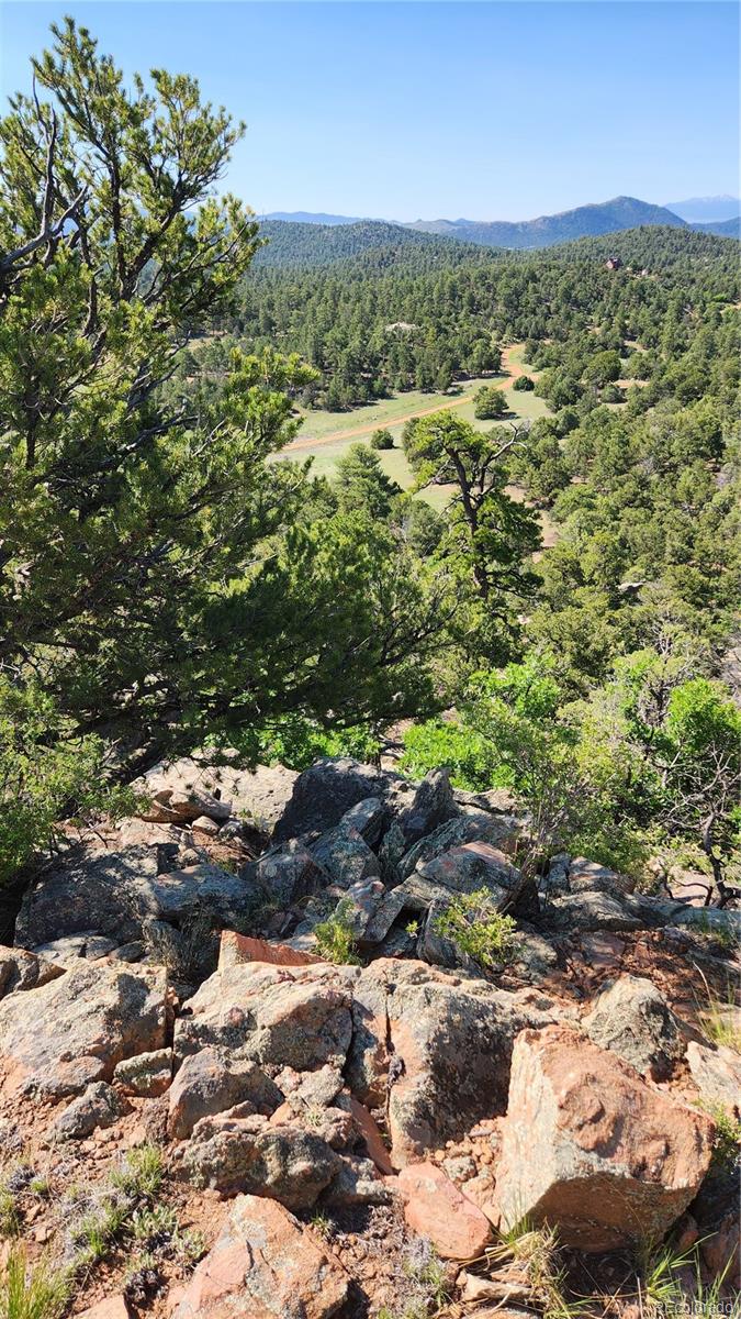 134 Knight Lane Cotopaxi CO 81223