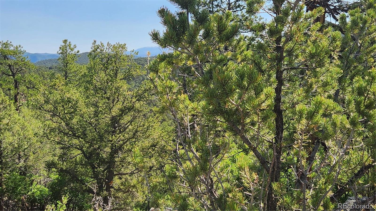 134 Knight Lane Cotopaxi CO 81223