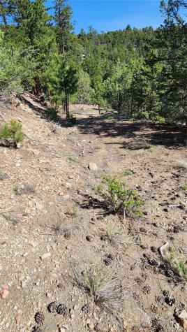 134 Knight Lane Cotopaxi CO 81223