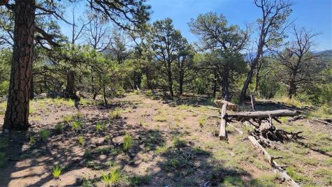134 Knight Lane Cotopaxi CO 81223