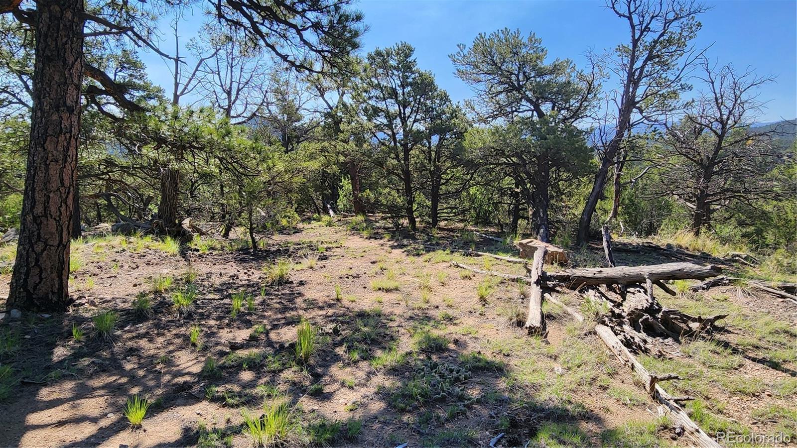 134 Knight Lane Cotopaxi CO 81223