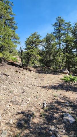 134 Knight Lane Cotopaxi CO 81223